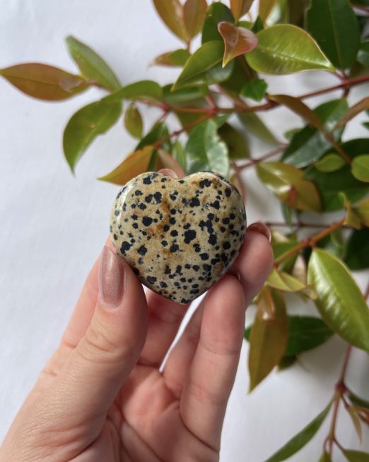 Dalmatian Jasper Flat Heart